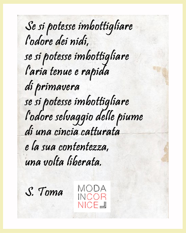 poesia-salvatore-toma-primavera